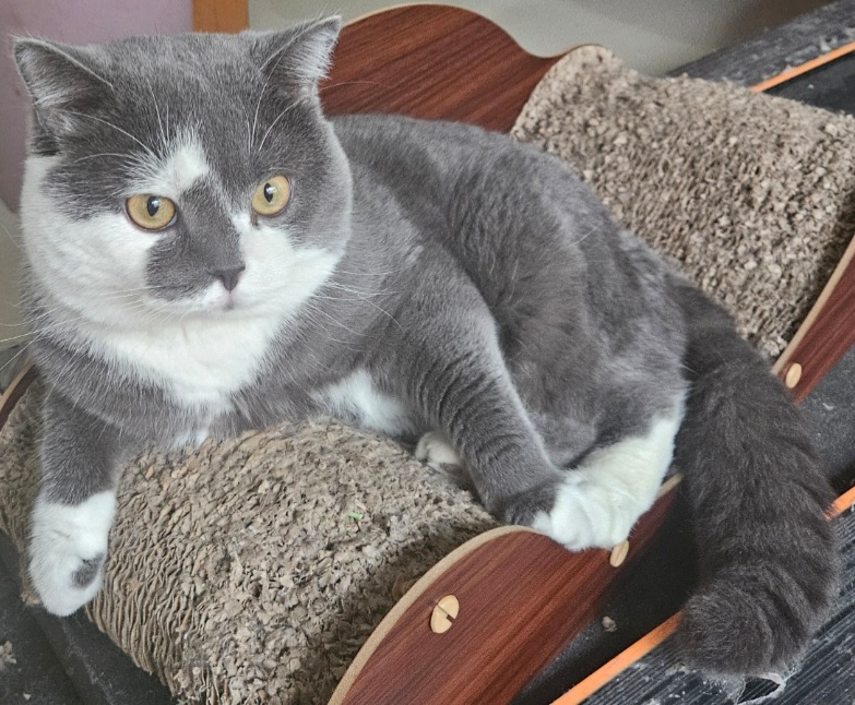 inscription c031412ca2a04e99037d8da00a396a59b7541767ffb07cfaf0c69c0b1c7a1c9ai0