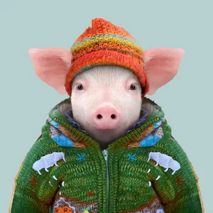 inscription c2b6d67e2048a4abee698b7c7cd8e99476b4065709bf6a021fe7dc630be907f0i0