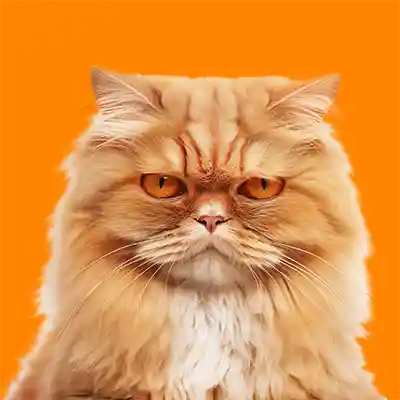 inscription c4133f372626e6cd36e323d54a3657f867d4b2aebdd077b97685b22559dffa7ai0