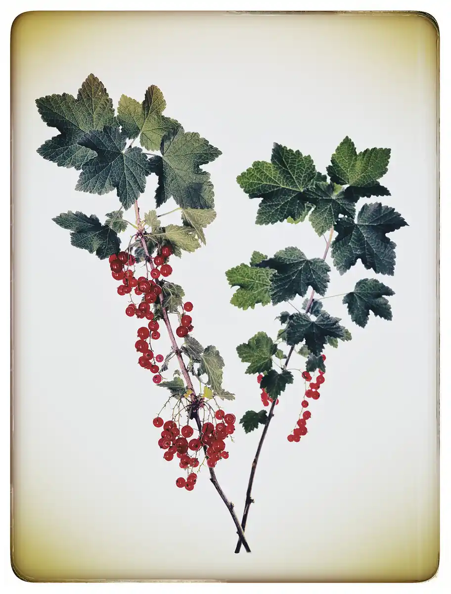 inscription c56e65f5db54da5805ae9bffc1441f7b5ca711873c3a0650fcd58b30cbf2f789i0