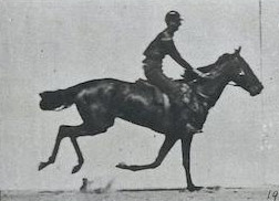 inscription c763f6d1154452c97284697cfb9ce77ee5ab01e27c812d04043b37f18a3c21c4i0