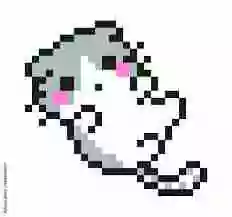 inscription c956a3619769eddeb02a86bfd56a10a5f9ac1e84d0655a749ba5c31c867a262ci0