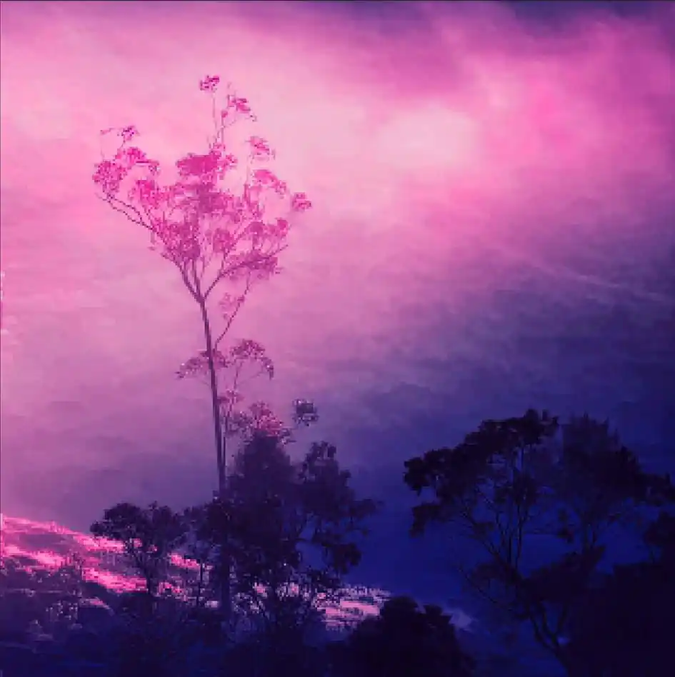 inscription c9b0caa830b1400f0fdb85b45ceb85677436b9af5ba30a9b05d350cbfbbc71bdi0