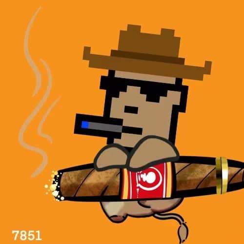 inscription c9c2c705725083dd5a69f4b44b07bf89bf71b6dd9165d51373f70b320d12578di0