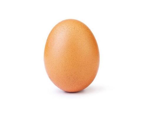 inscription c9fffbdf301d1b5fa92f3f9b83c6e156549413c087892363d080e6ba36b2648fi0