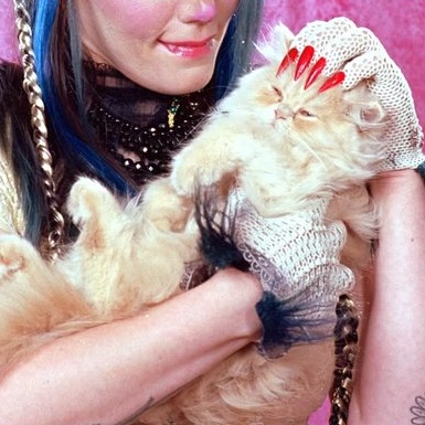 inscription cd5456ab0a78c594283e4bcfeab193ca29daca56b28ef45a6646fc934c63d844i0