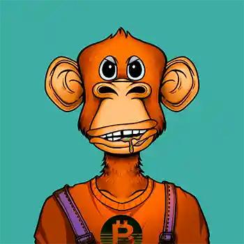 inscription ce4a38b1ec607e51ae8b8073e5ba0f211db6ee18d56c84c032ddee967c73a5b0i0