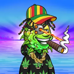 inscription cee1f9bd81c6982b1be5ea9f1d40e4db618f6bc1cc67fa3b47c3c134100ee3f8i0