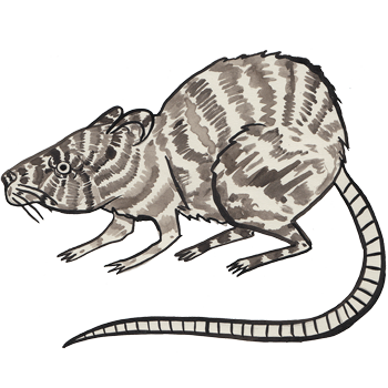 inscription d1b58b854a406d89fe07ec1fee21d4ca32eb8fa4a59bbc1e770f2526caa7ec21i0