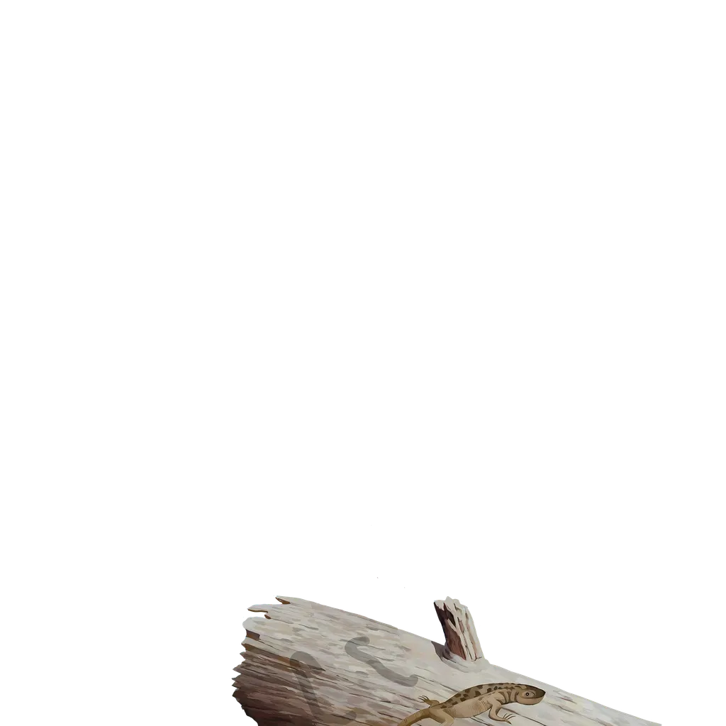 inscription d21de1e7164f98a10076f30cc33b3f21b61566e0da5b53af964d63c69ff93ac6i7