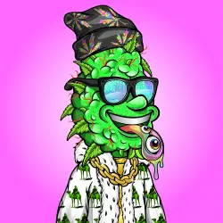 inscription d542cdca46b185ef778eb71a9c596e91954a9b612eb55d0a7ae2ba01330f76ddi0