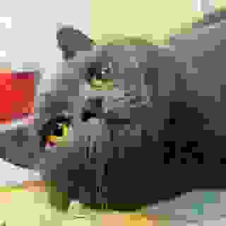 inscription d5c00d4b08c797d31098825463c0d96662067b94d5cb158c97fa9eed9fffcec2i0