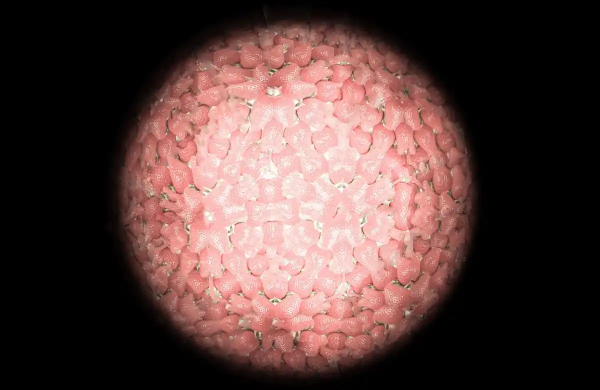 inscription d69dac51bff0ffb684bb80293f027fe28612edd9fde205f7e4bbea0c94753d9di0