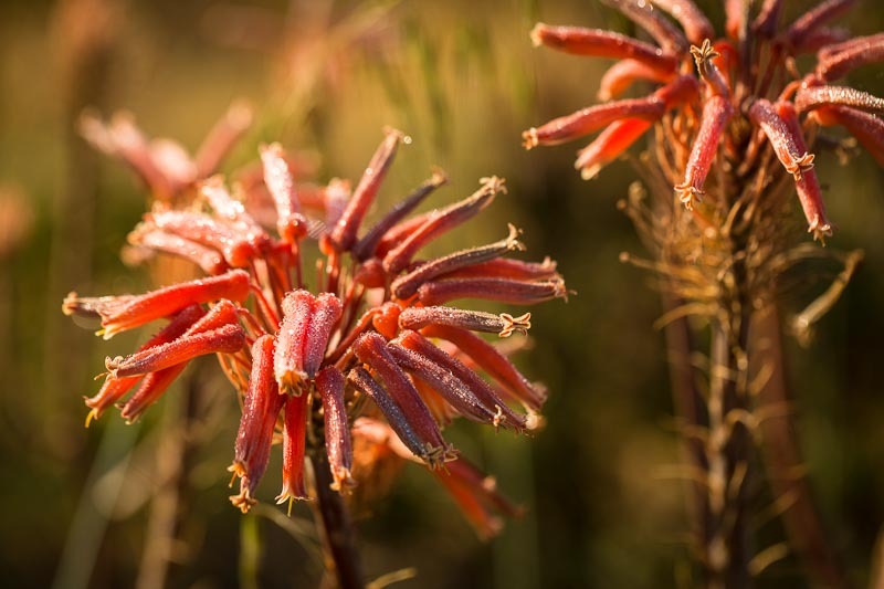 inscription d752a1a63b378dfe3cfb67e1f20f679e316946139d9a8852a558d4d75b192668i0