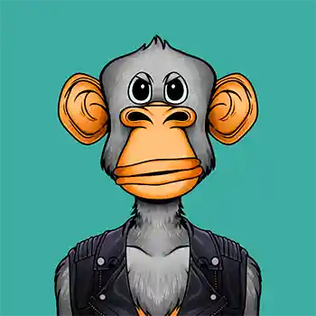 inscription d7dae2b51c555c5b46e88626faf0f31f8620d4c18bac8086e3db465ce0d33ec5i0