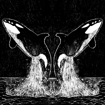 inscription defaced5619c992a712c9f4b23f7fb3ed4e8ec7b3a93251f3341dc10a8fc5325i1