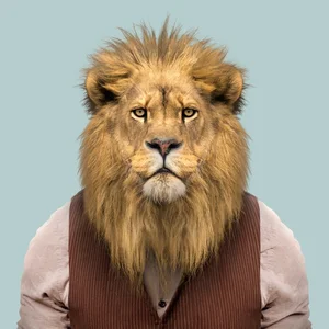 inscription df422e4288153d56d0628f00d805ab3b0ab27d11735d8ba9f4bb3d73889d4334i0