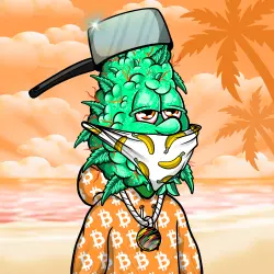 inscription e4fa5a087c2f1e821856e1bb9a95e488b34595dd62ace6e4d3265aa4f71efbfai0