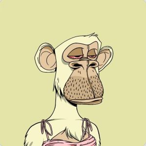 inscription e5d6f8349635752e567c753d5e1cdc960d182a38aaef27d1fc8ddf670c4afed8i0