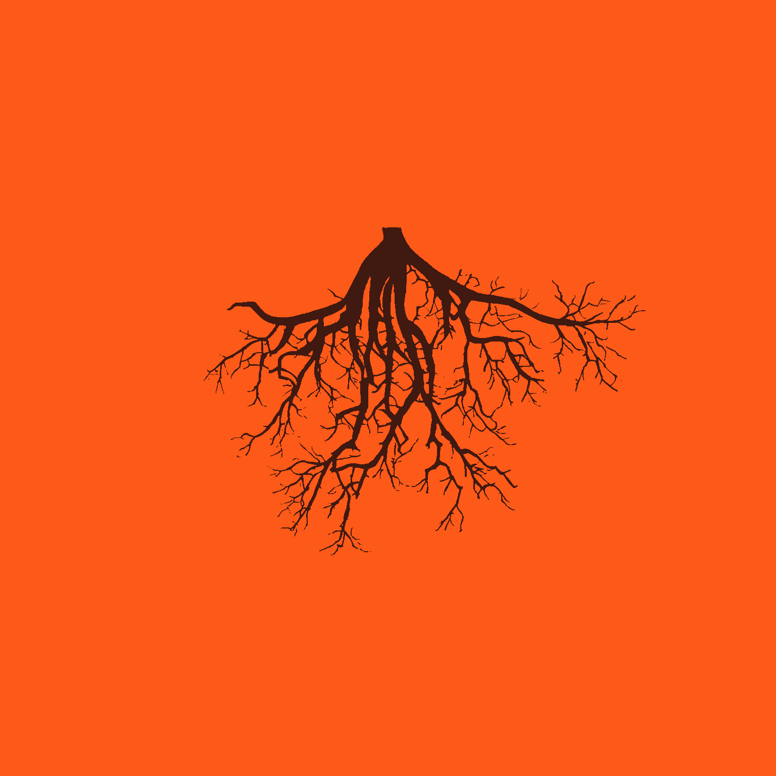 inscription e871bd0bb67cf9977a7211e3bd64c413f6564f6208800ced99ee6362bcaa8e9ci0