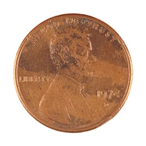 inscription e8ccaaeaa37a9cd03eb014fb09c51491746eee7f6f9c9651d479cbeef027aa45i1