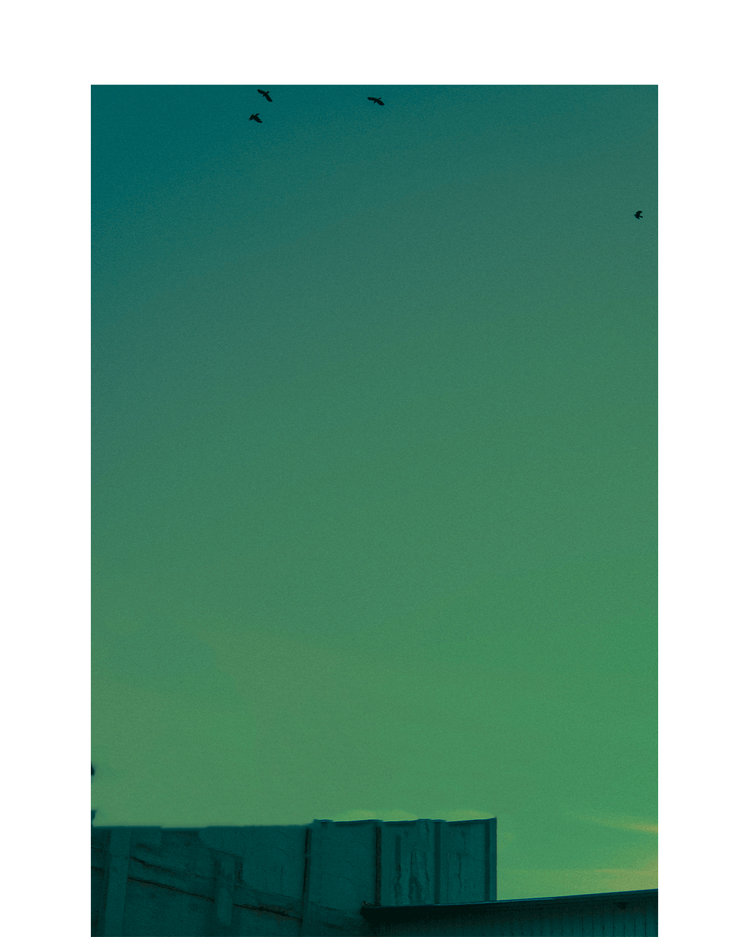 inscription f0bc69ce70ba8b3dbb38b0f21945d962b7218225c6a14b68f67c0f5900800d75i0