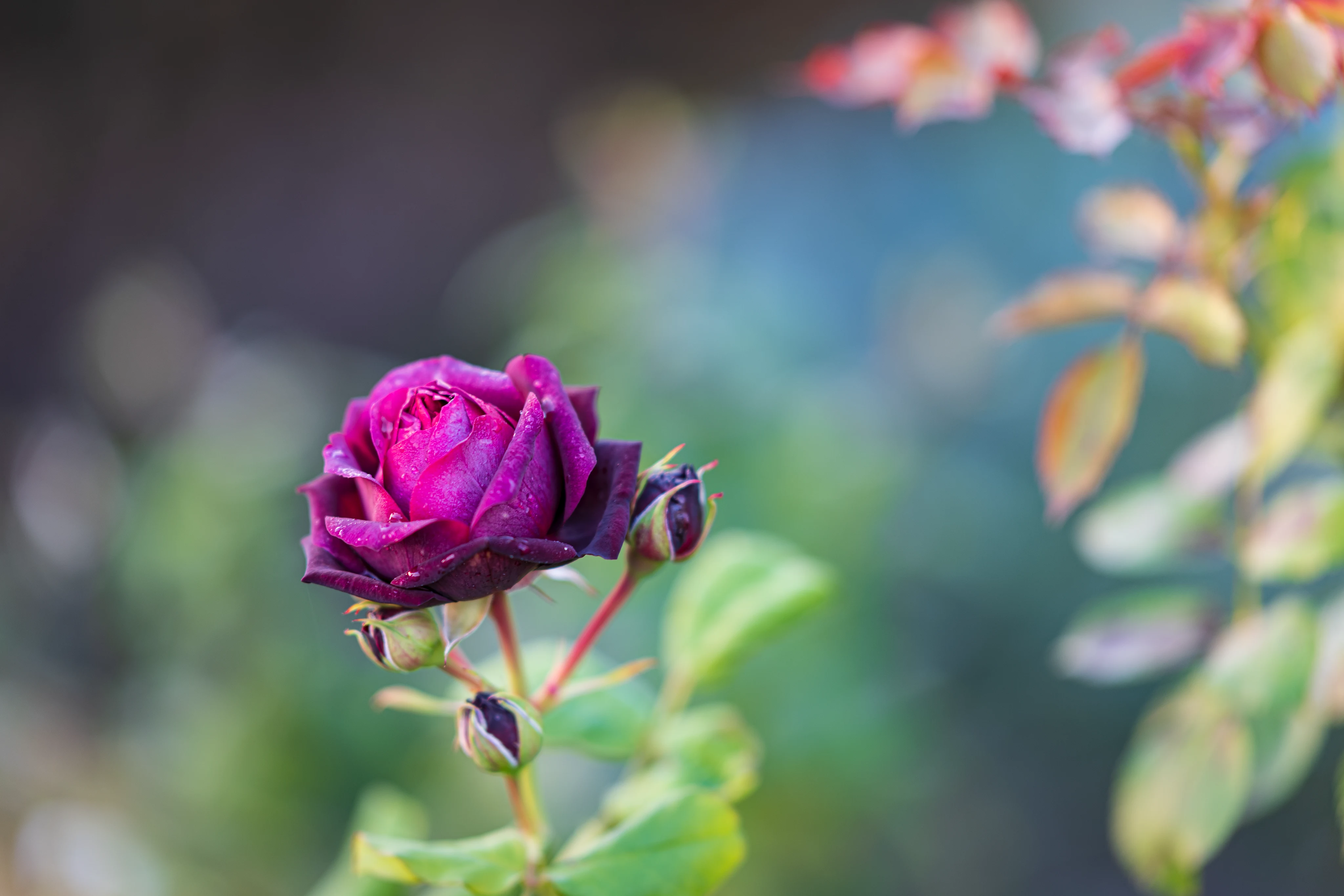 inscription f1adbcd1cfb2040a4c4894ec16d4a7c84fb58fcf58994adb31bd6992c75d857ei0