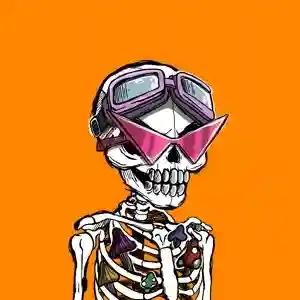 inscription f1e18c32262d406a0e90556a5005f3920811b6c4a8fb02b0c3de8f5e37d67837i0