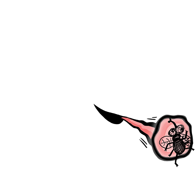 inscription f20fd9fb0f084cab6bf7093a9dd8dcca568e6957175ffaf091cea88101de91d6i0