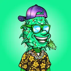 inscription f5f8075cce87d99a43e1679d28e9e694a2b3392a5aaba67b6a27c1aacee6b557i0