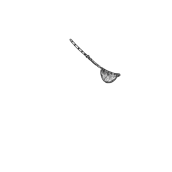 inscription fda0bbb2a1a4578943d5ed4c2c311d0a062976db2d3a22e1551e39eedef0f222i16