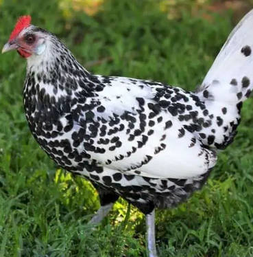 inscription ff1ee5b424309fd6805673810f0aaa5f3b79d779475a4909d26cb9148a7c55d4i0