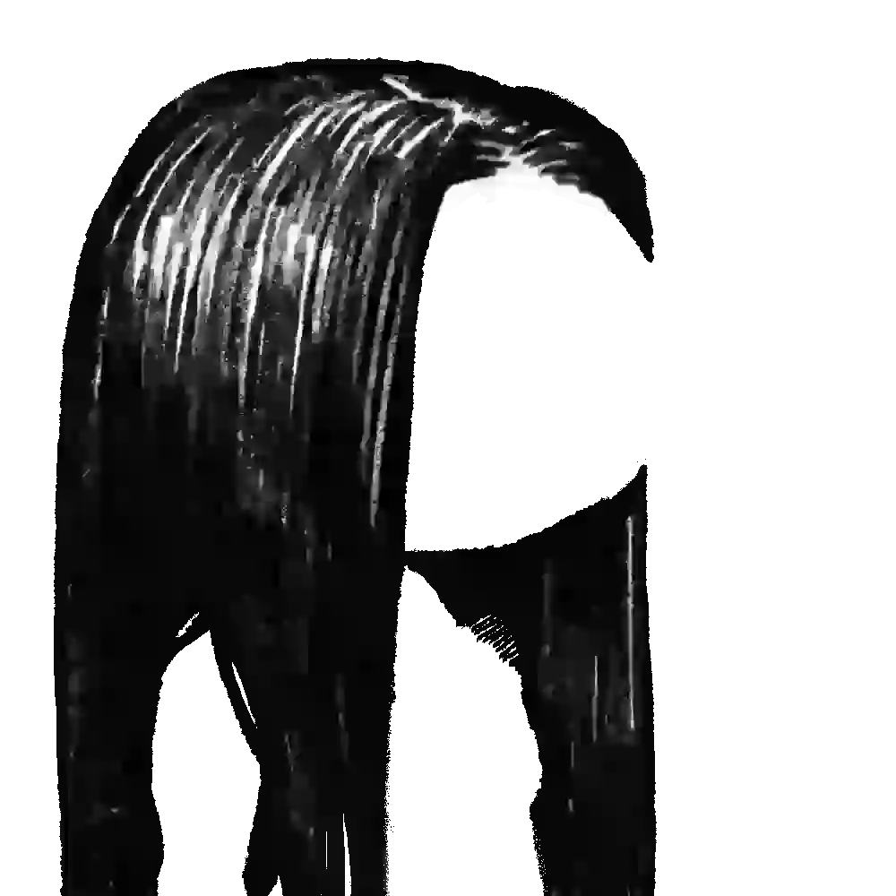 inscription ff6ba075819c0f562d25adf4458d237aea55afd2cfd53c2abb5f343dc61f1d8ci4